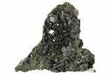 Black Andradite (Melanite) Garnet Cluster - Morocco #107907-1